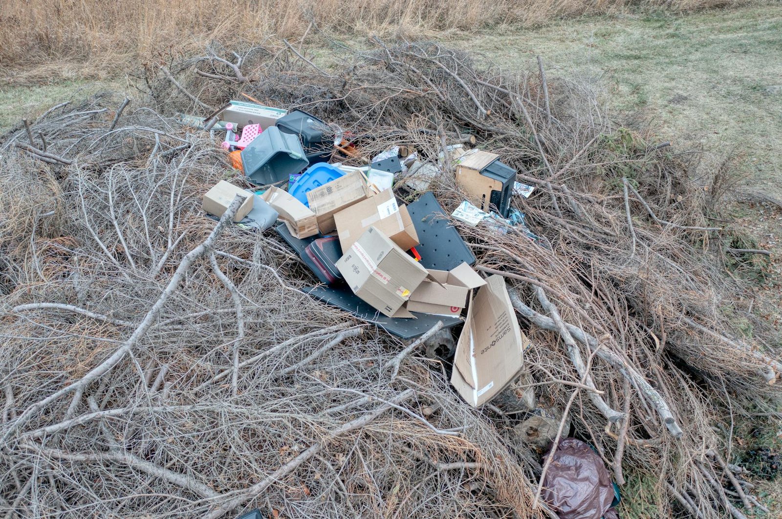 Household junk and cardboard boxes piled with dry branches in a field