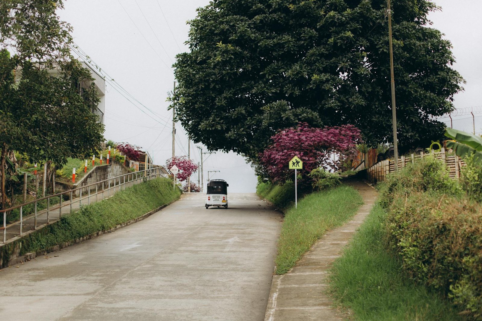 White tuk-tuk driving on a road with green trees, pink flowers, and a school sign